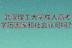 武汉理工大学成人高考学历国家和社会认可吗？