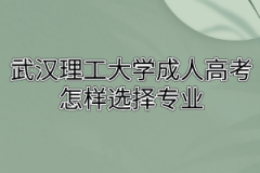 武汉理工大学成人高考怎样选择专业