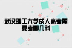 武汉理工大学成人高考需要考哪几科